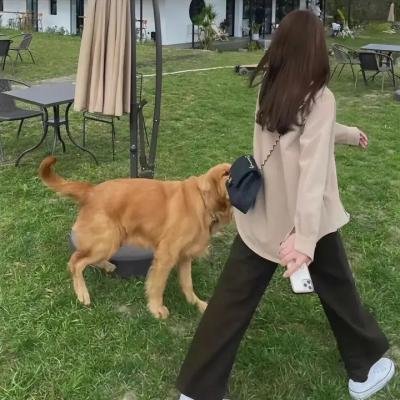警戒之眼